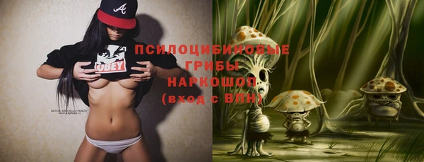 первитин Алексин