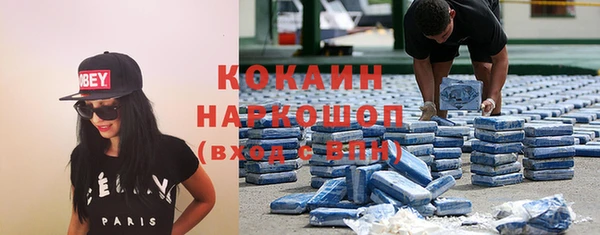 тгк Алзамай