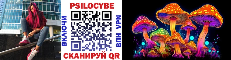 магазин  наркотиков  Благовещенск  Галлюциногенные грибы прущие грибы 